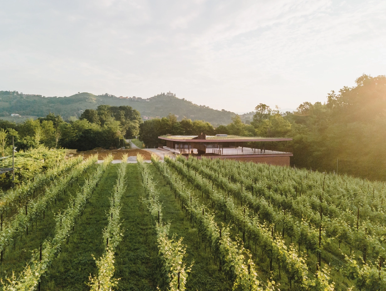 Le vigne di Montevecchia nel Parco del Curone